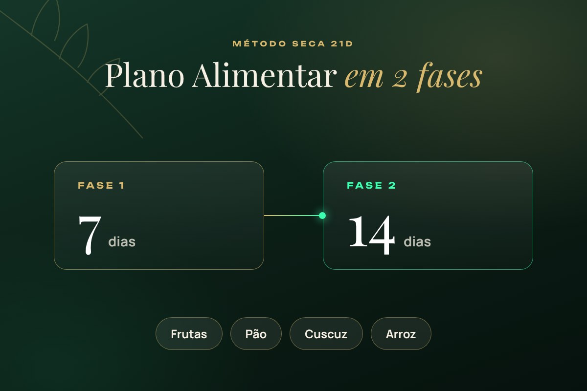 Plano alimentar dividido em 2 fases